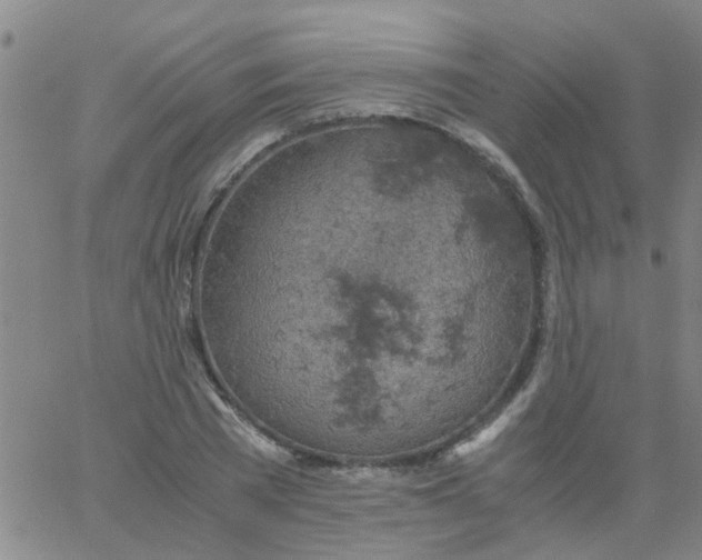 X0000061740785200512231459