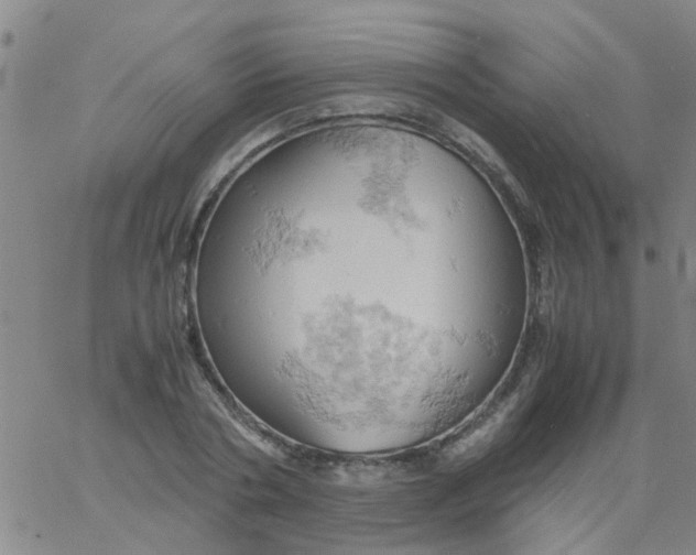 X0000061740786200512231459