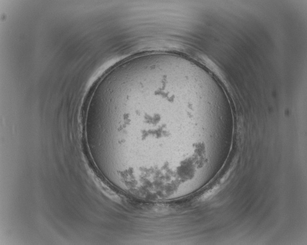 X0000061740787200512231459