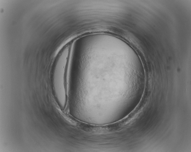 X0000061740789200512231459