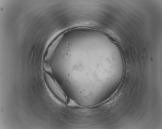 X0000061740792200512231459