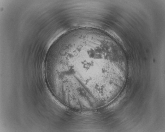 X0000061740798200512231459