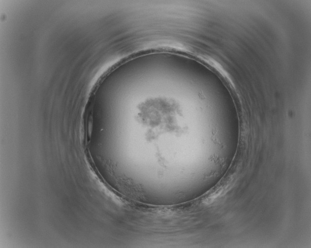 X0000061740799200512231458