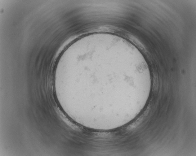 X0000061740800200512231458