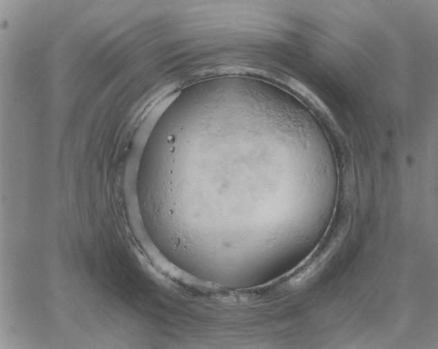 X0000061740801200512231458