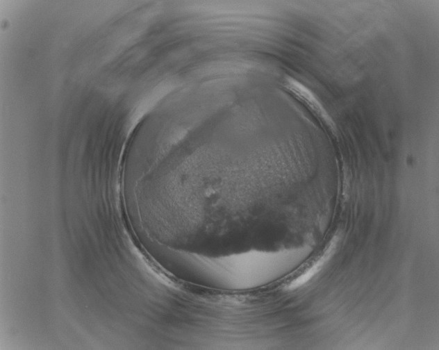 X0000061740802200512231458