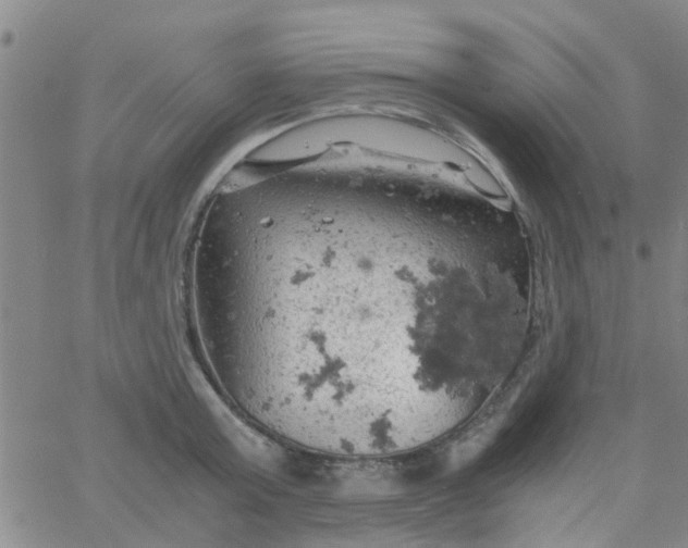 X0000061740803200512231458