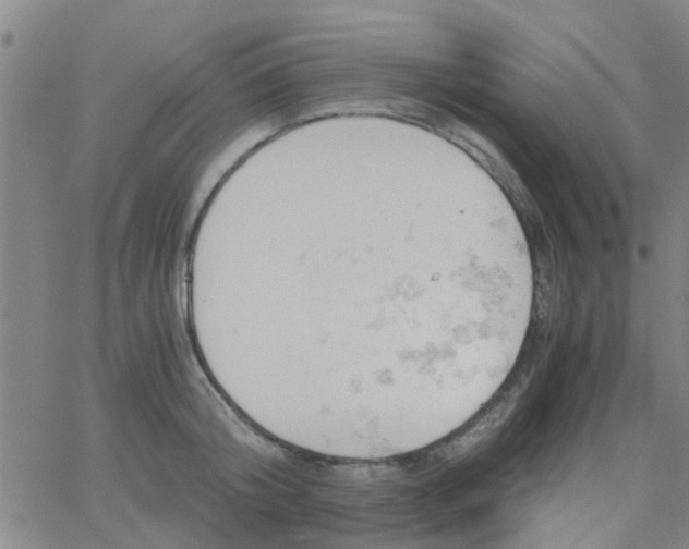 X0000061740804200512231458