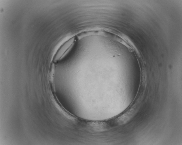 X0000061740805200512231458