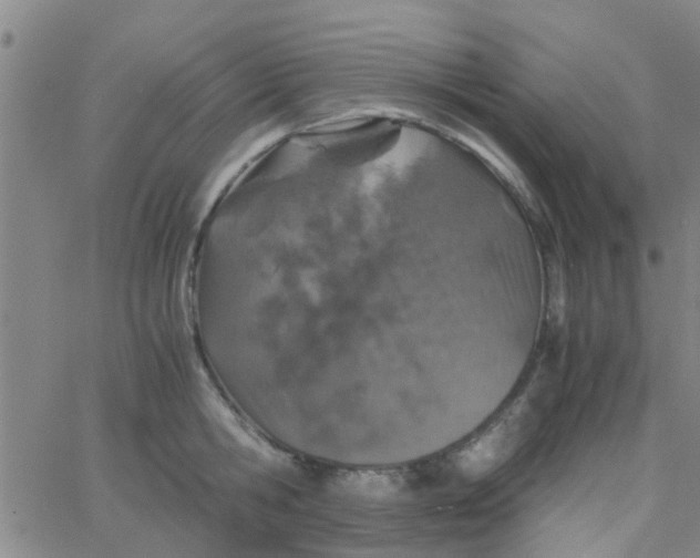 X0000061740806200512231458