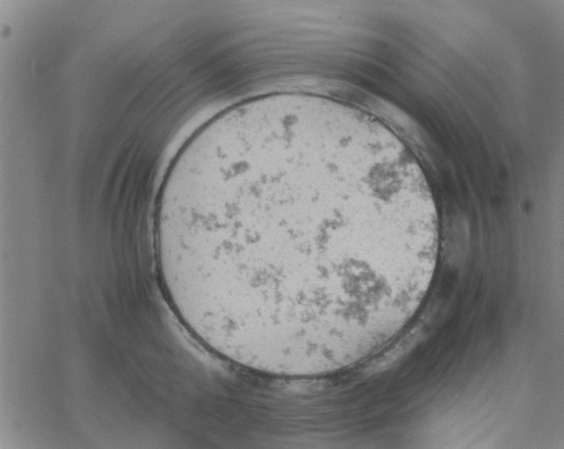 X0000061740808200512231458