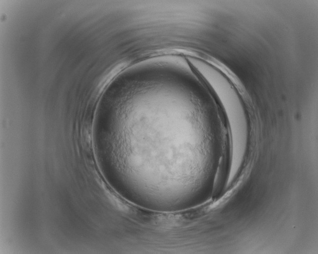 X0000061740809200512231458