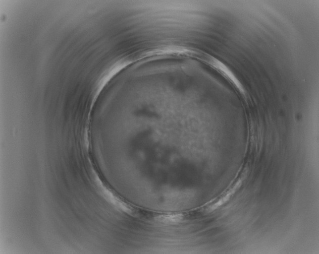 X0000061740810200512231458