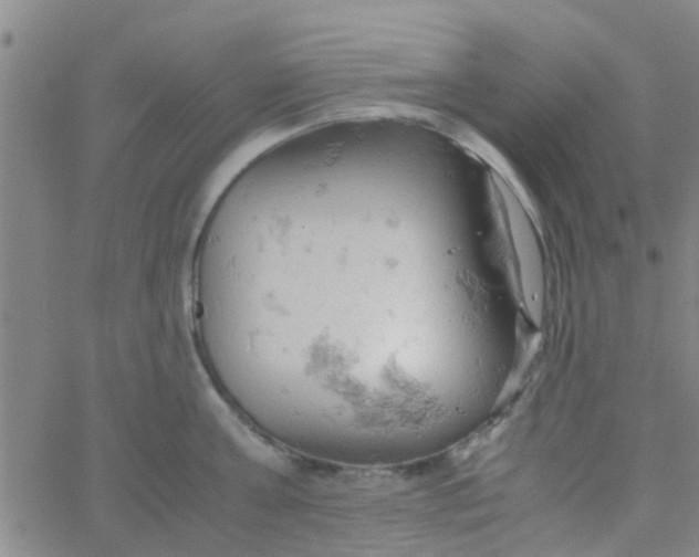 X0000061740811200512231458