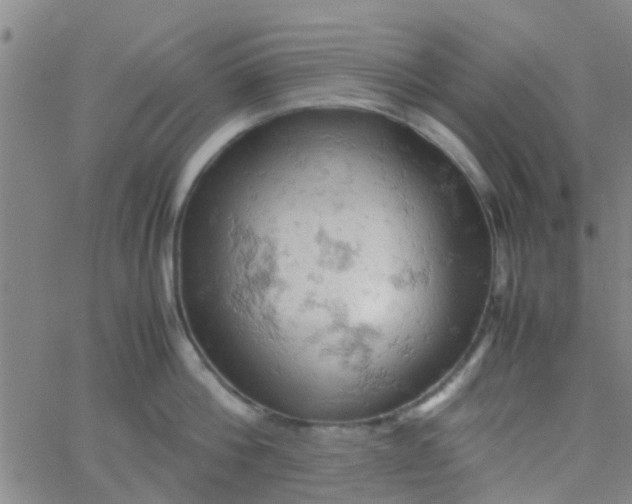 X0000061740812200512231458