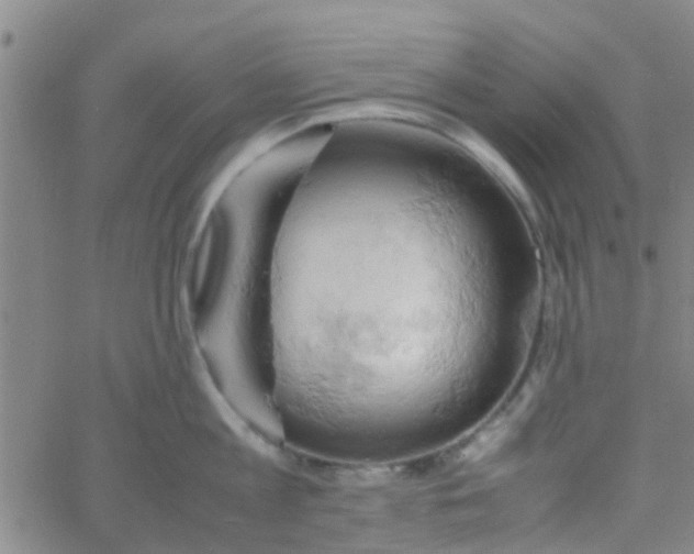 X0000061740813200512231458