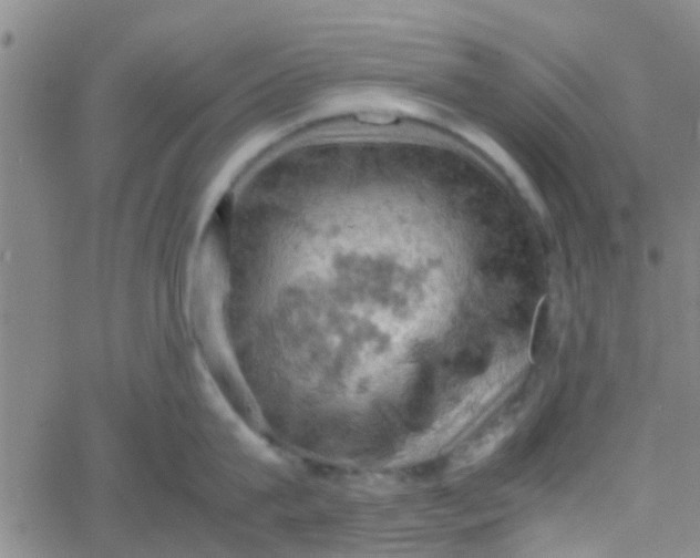 X0000061740815200512231458