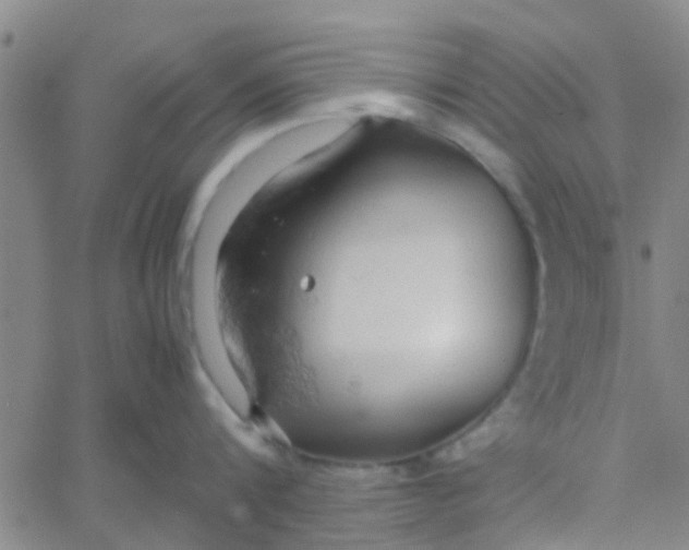 X0000061740816200512231458