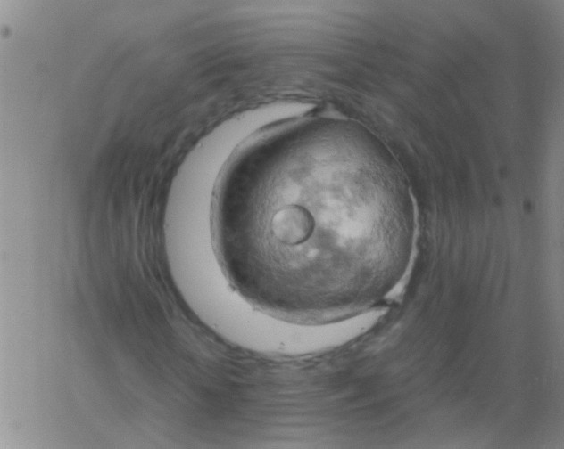 X0000061740818200512231457