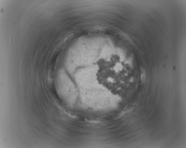 X0000061740819200512231457