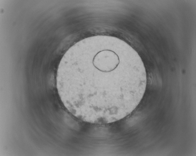 X0000061740820200512231457