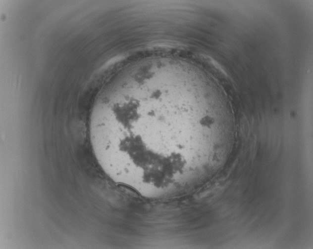 X0000061740821200512231457