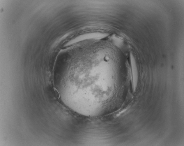 X0000061740822200512231458