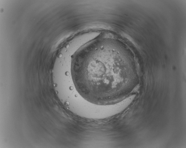 X0000061740824200512231458