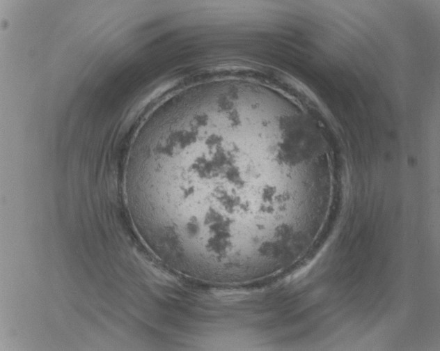 X0000061740825200512231458