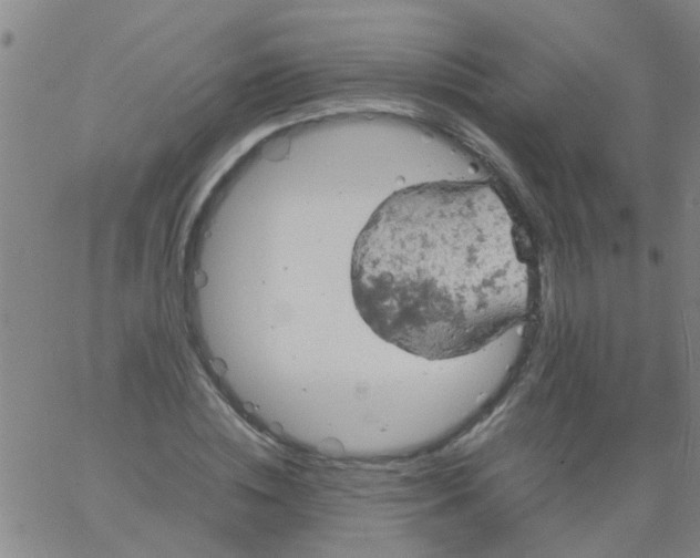 X0000061740828200512231458