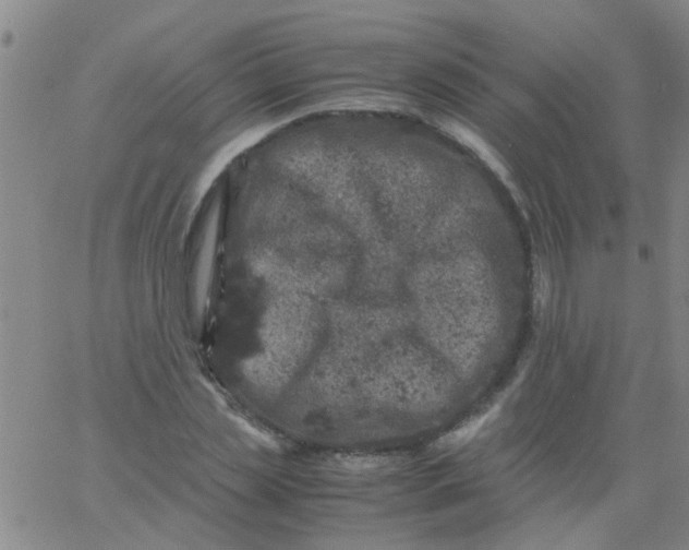 X0000061740829200512231458