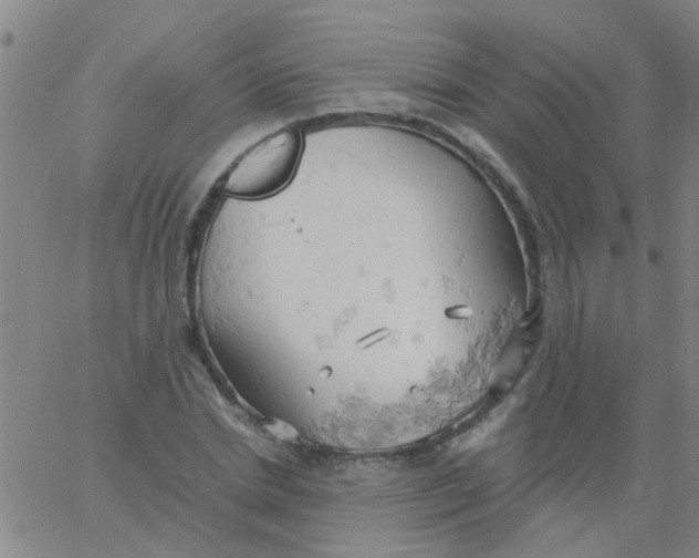 X0000061740830200512231458