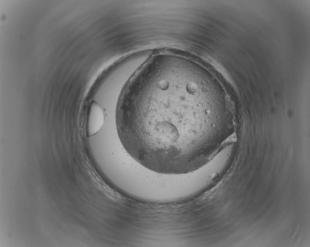 X0000061740832200512231458