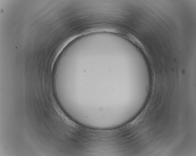 X0000061740836200512231458