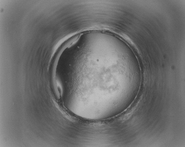 X0000061740838200512231458