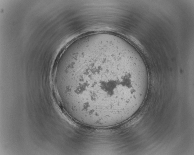 X0000061740840200512231458