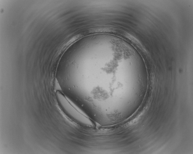 X0000061740841200512231458