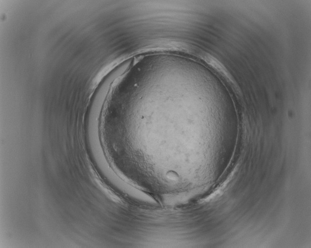 X0000061740842200512231458