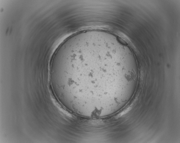 X0000061740844200512231458