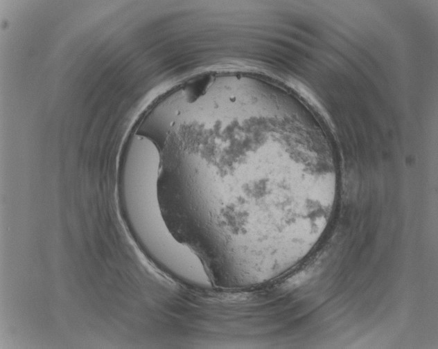 X0000061740845200512231458