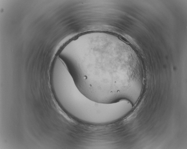 X0000061740846200512231458