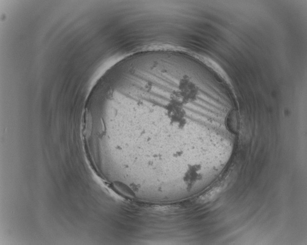 X0000061740847200512231458