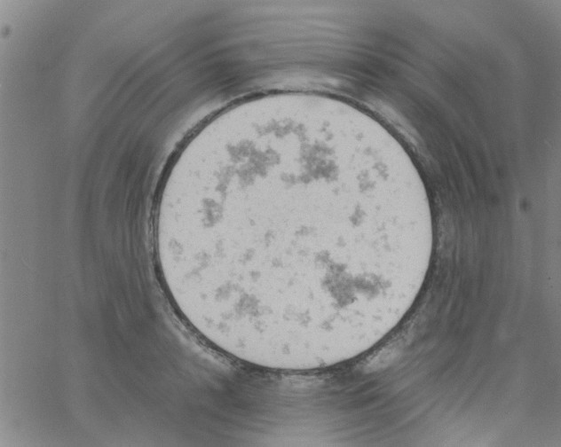 X0000061740848200512231458