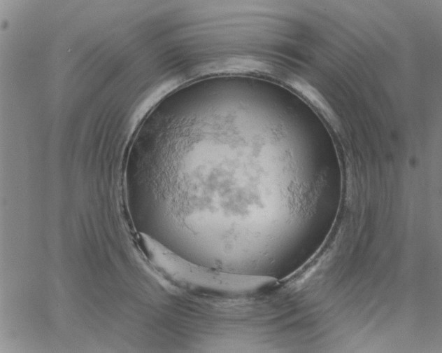 X0000061740850200512231458