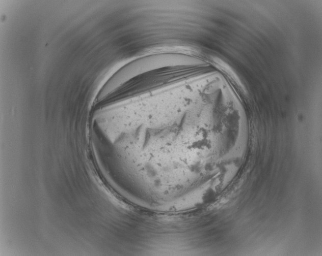 X0000061740852200512231458