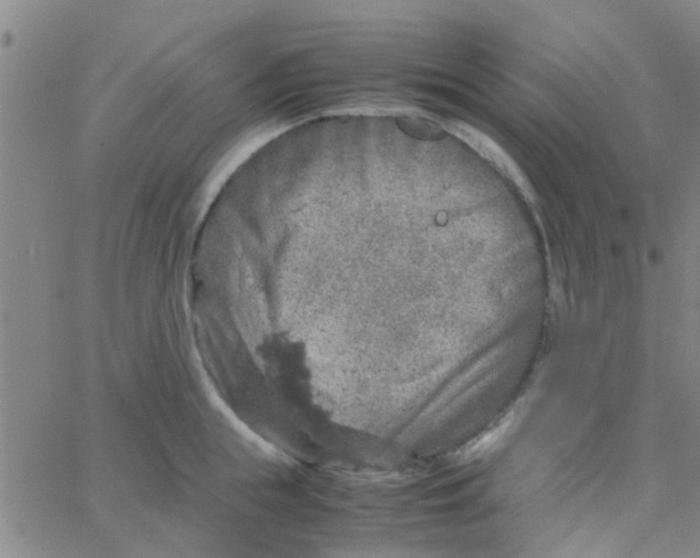 X0000061740855200512231458