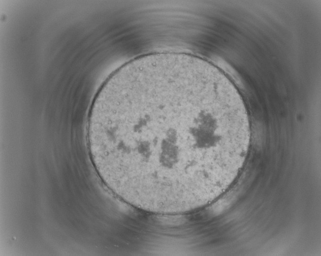 X0000061740856200512231458