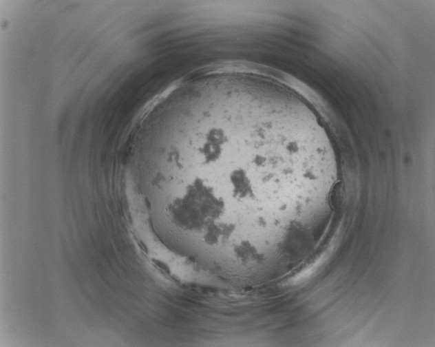 X0000061740857200512231458