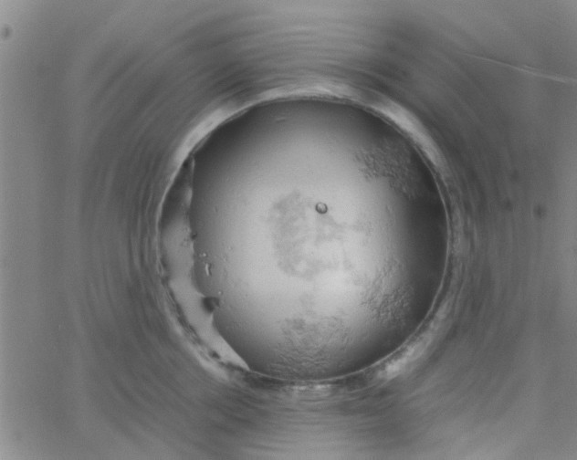 X0000061740858200512231458