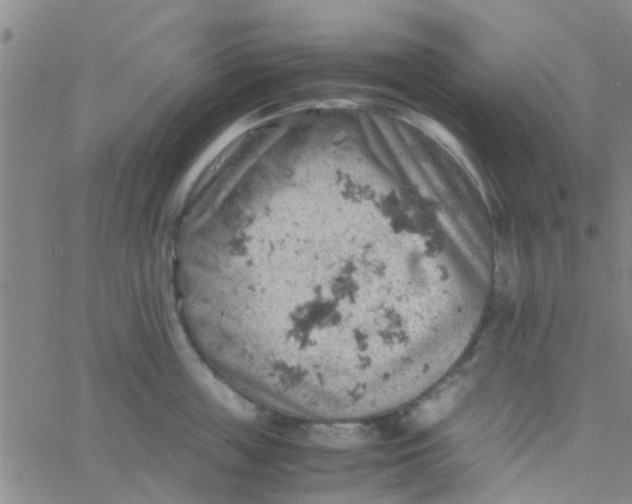 X0000061740859200512231458